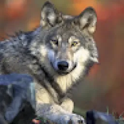 Profile picture for user Creek_sk