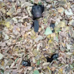 Profile picture for user michaelsykora1