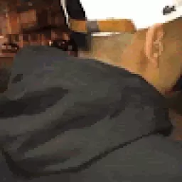 Profile picture for user medvidek1