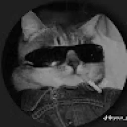 Profile picture for user geisterkiller