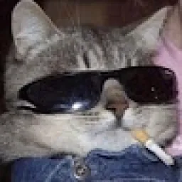 Profile picture for user osmeasy