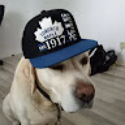 Profile picture for user tadeÁŠ-_-