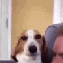 Profile picture for user timotee