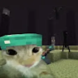 Profile picture for user fifiroro