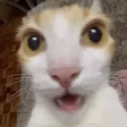 Profile picture for user Intact_66