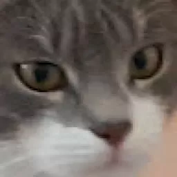 Profile picture for user lump21w