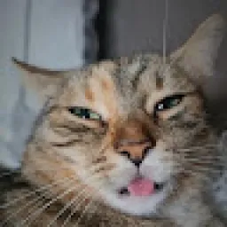 Profile picture for user bih4W6