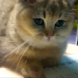 Profile picture for user adam709