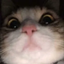 Profile picture for user DraG0n25Cz