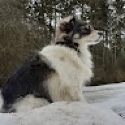 Profile picture for user vašnocz