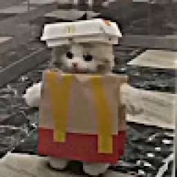 Profile picture for user RoyalTom