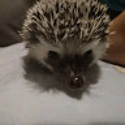 Profile picture for user mcr_martin