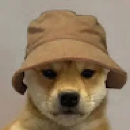 Profile picture for user chochi1