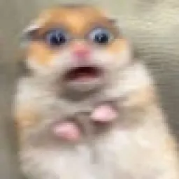 Profile picture for user VEJNYSek