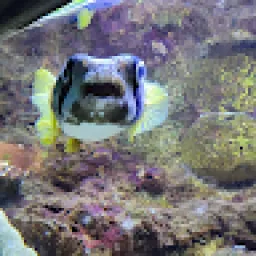 Profile picture for user maty.jezek