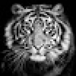 Profile picture for user TheCharlescz