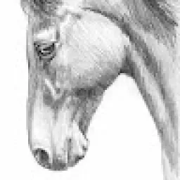 Profile picture for user matyaspanik