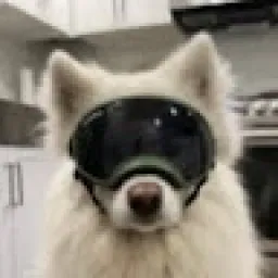 Profile picture for user HerbiikFN