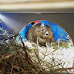 Profile picture for user vítdvořák