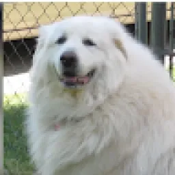 Profile picture for user viktorkučera