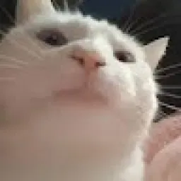 Profile picture for user dzeffry1