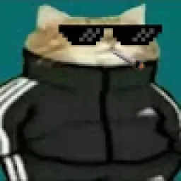 Profile picture for user petr11
