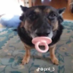 Profile picture for user vojtakooz