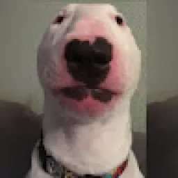 Profile picture for user gamingdogwalter