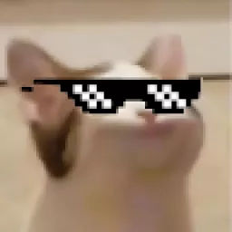 Profile picture for user hadrikk