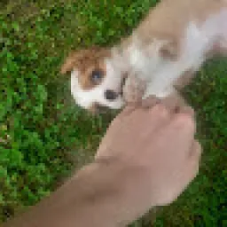 Profile picture for user rudix