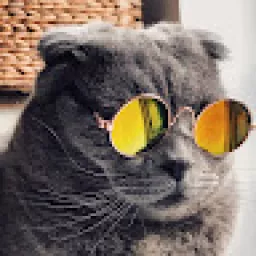 Profile picture for user janŠmejkal