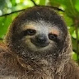 Profile picture for user ultrasans