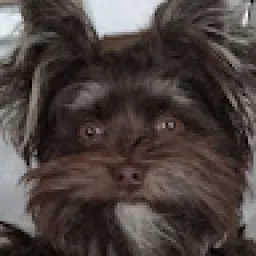 Profile picture for user janstehlík