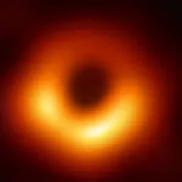 Profile picture for user VFL_Wision