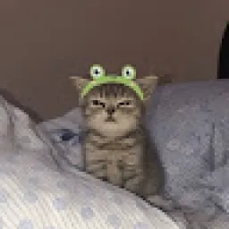 Profile picture for user Checkmatebtw