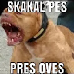 Profile picture for user maximpavlík