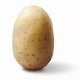 Profile picture for user zodix
