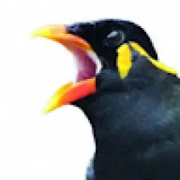 Profile picture for user Froge2322