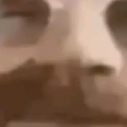 Profile picture for user hugomati95