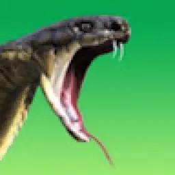 Profile picture for user PandaHounteR