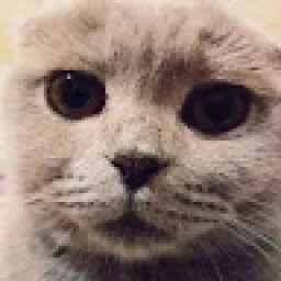 Profile picture for user LlokaPoka