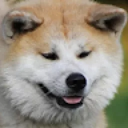 Profile picture for user michalstarec