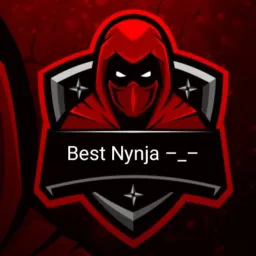Profile picture for user bestnynja–_–