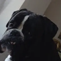 Profile picture for user lukášmanhart-kratochvíl
