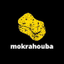 Profile picture for user mokrahouba