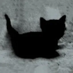Profile picture for user catitude