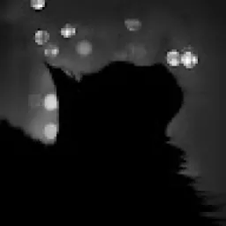 Profile picture for user tallshadow