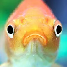 Profile picture for user gtahrac