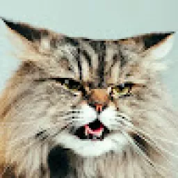 Profile picture for user marekpelty