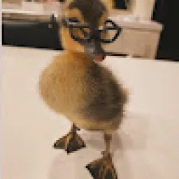 Profile picture for user tryxiqq